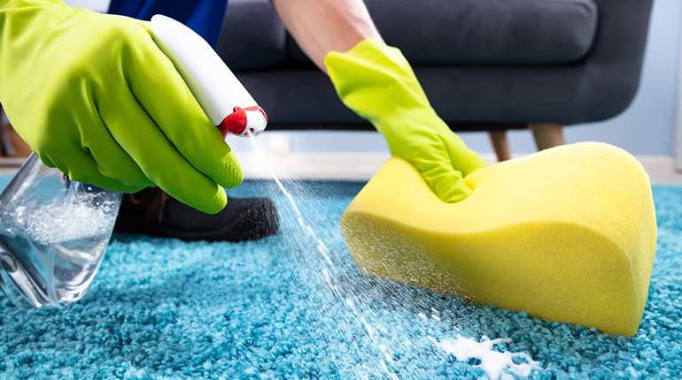 carpet cleaning in queens, carpet cleaning queens, carpet cleaners in queens, carpet cleaners in queens, commercial carpet cleaning, commercial carpet cleaning in queens, queens rug cleaners, rug cleaning services in queens, same day carpet cleaning, same day rug cleaning in queens